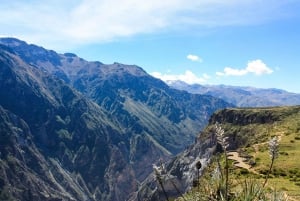 COLCA CANYON HELDAGSTURER