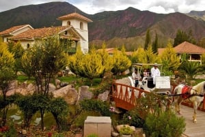 Visite d'une jounée de la Vallée sacrée et des Maras+Buffet à Cusco