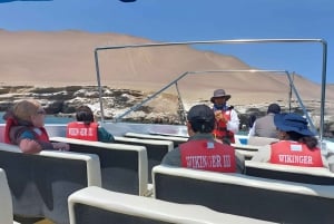 Lima: escursione di un giorno all'oasi di Paracas e Huacachina con vino e dune