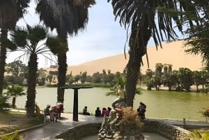 Lima: escursione di un giorno all'oasi di Paracas e Huacachina con vino e dune