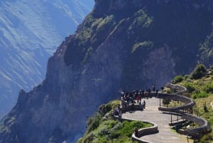 Escursione di un'intera giornata al Canyon del Colca da Arequipa con arrivo a Puno