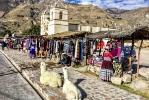 Heldagsutflykt till Colca Canyon från Arequipa med slut i Puno