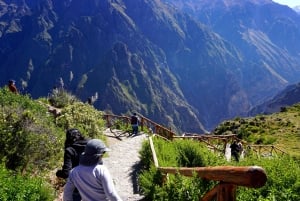Viagem de 1 dia para o Colca Canyon saindo de Arequipa e terminando em Puno