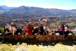 Kokopäiväretki Colca Canyoniin Arequipasta päättyen Punoon