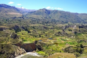 Heldagsutflukt til Colca Canyon fra Arequipa med avslutning i Puno