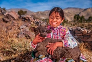 Golden Hour-vandring i Arequipa med kaffesmaking