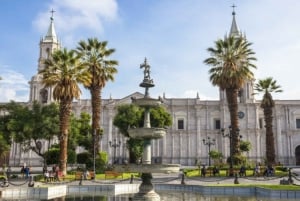 Guided in Arequipa and the monastery of Santa Catalina