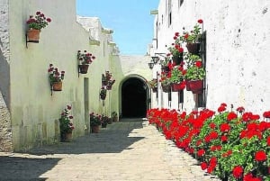 Visita guiada a Arequipa e ao mosteiro de Santa Catalina