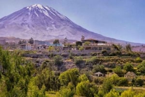 Puolen päivän vaellus Misti-tulivuorelle