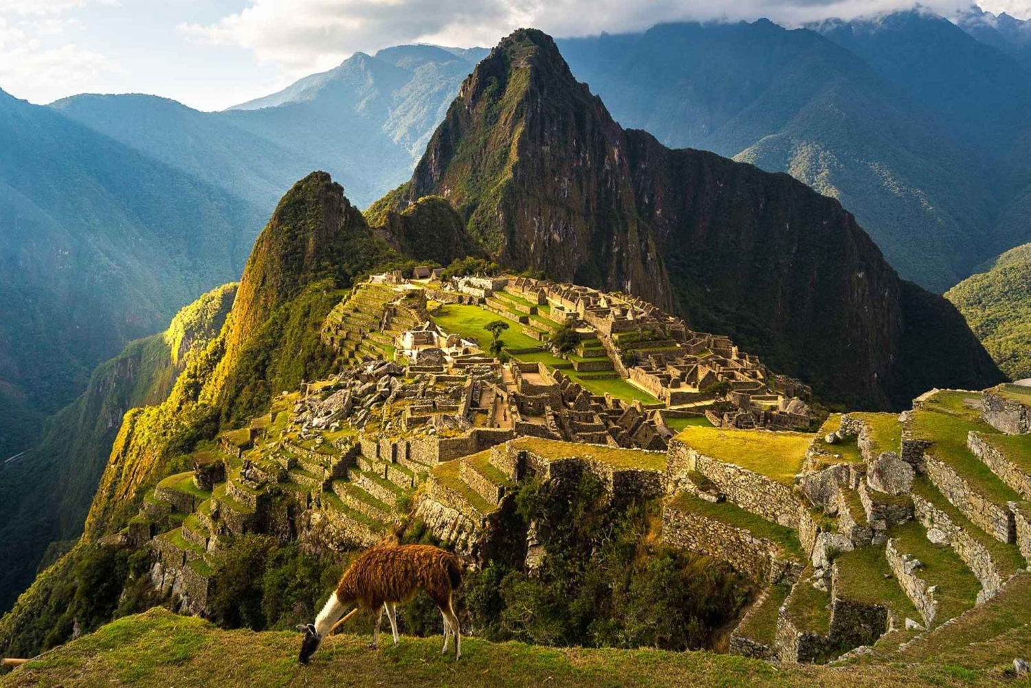 Halve dag tour Machu Picchu Cusco Peru