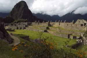 Półdniowa prywatna wycieczka Machu Picchu Cusco Peru