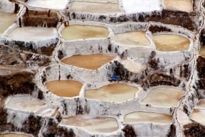 Tour de medio día a Maras y Moray con guía local y vistas panorámicas