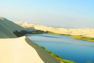 Paracas: Oasis Escondido en Paracas - Buggy y Sandboarding