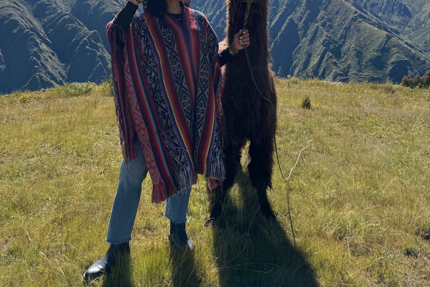 チンチェロでアルパカやラマと一緒に散歩しましょう