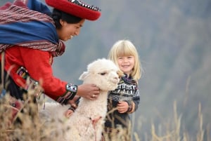 Hike with Alpacas and Llamas in Chinchero