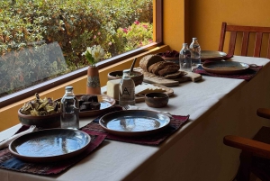 チンチェロでアルパカやラマと一緒に散歩しましょう