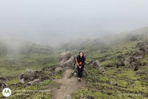 Hiking Lomas de Lachay in Lima