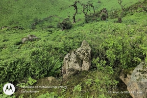 Hiking Lomas de Lachay in Lima