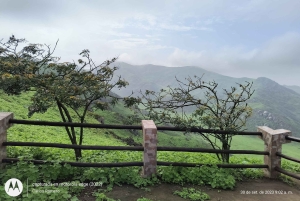 Hiking Lomas de Lachay in Lima