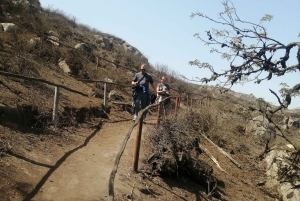 Hiking Lomas de Lachay in Lima