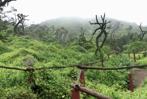 Hiking Lomas de Lachay in Lima