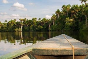 Senderismo por la selva y el lago Sandoval | Día completo