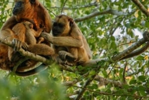 Senderismo por la selva y el lago Sandoval | Día completo