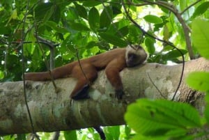 Senderismo por la selva y el lago Sandoval | Día completo