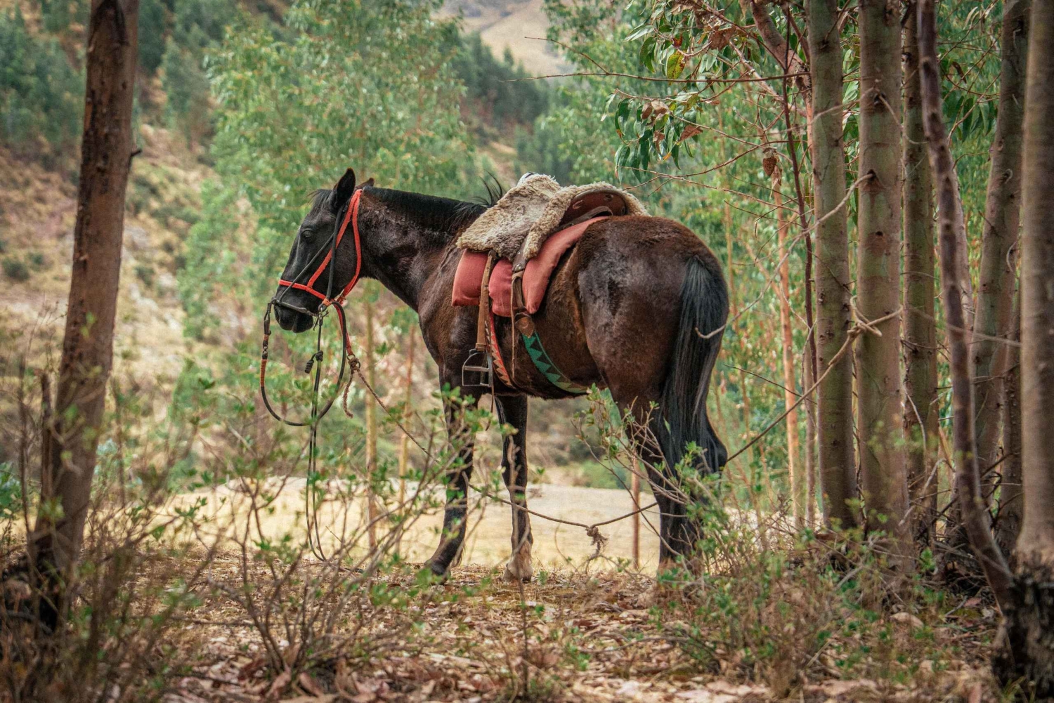 Cabalgata y Caminata Inka en Cusco con Ceremonia a la Madre Tierra