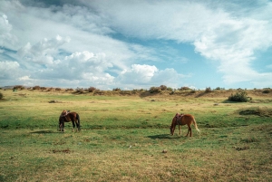 Cabalgata y Caminata Inka en Cusco con Ceremonia a la Madre Tierra