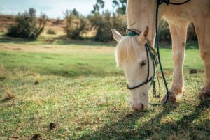 Cabalgata y Caminata Inka en Cusco con Ceremonia a la Madre Tierra