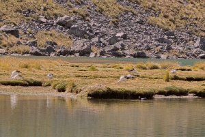 Reiten in Ausangate 7 Seen Ganztägig – Privat