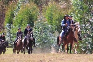月の神殿とチャカンの丘への乗馬