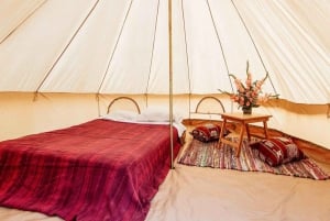 Huacachina & Ica Tour | Desert Glamping - unik upplevelse