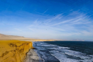 Huacachina: Private Transfer to Paracas