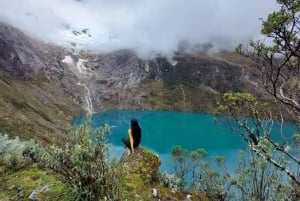 Huaraz : Chacas 3 lagunes + Carhuaz