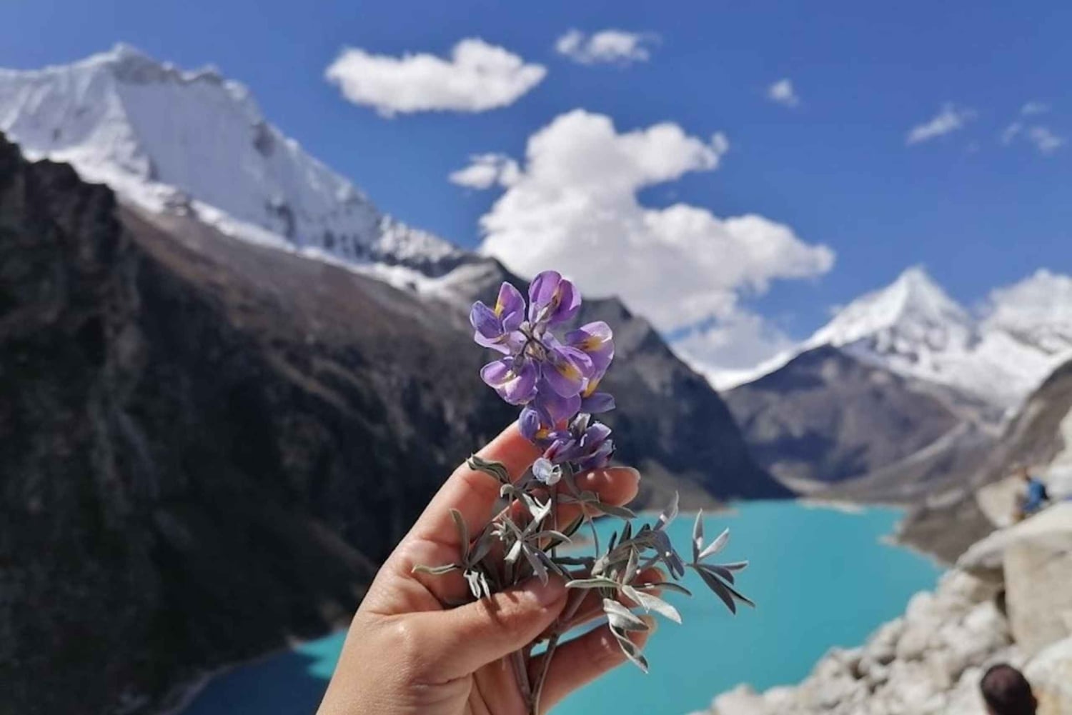 Huaraz: Full Day at Laguna Parón + View of Nevado Artesonraju