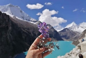 Huaraz: Full Day at Laguna Parón + View of Nevado Artesonraju