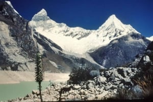Huaraz: Full Day at Laguna Parón + View of Nevado Artesonraju