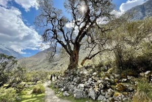 Huaraz: Ganztägiger Ausflug zur Laguna 69 + Blick auf die Laguna Llanganuco