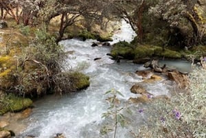 Huaraz: Ganztägiger Ausflug zur Laguna 69 + Blick auf die Laguna Llanganuco