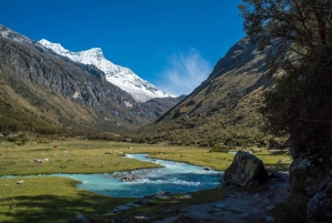 Huaraz: Ganztägiger Ausflug zur Laguna 69 + Blick auf die Laguna Llanganuco