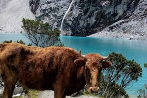Huaraz: Ganztägiger Ausflug zur Laguna 69 + Blick auf die Laguna Llanganuco