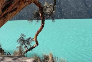 Huaraz: Heldag Laguna Llanganuco + Yungay + Carhuaz