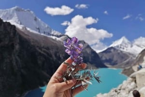 Huaraz : Journée complète Laguna Parón + Artesonraju Snowy View
