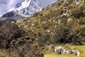 Huaraz : Journée complète Laguna Parón + Artesonraju Snowy View