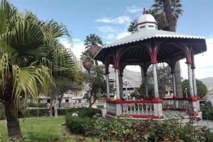 Huaraz : Journée complète Laguna Parón + Artesonraju Snowy View