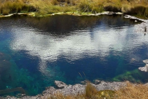 Huaraz:Mountains and lagoons 3 days Entrance fees and Lunch
