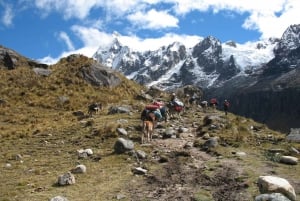 Huaraz: Excursión guiada de 4 días a Santa Cruz Trek