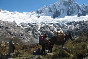 Huaraz: Excursión guiada de 4 días a Santa Cruz Trek